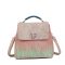 Hi-di-hi Handtas/Schoudertas Grassy Beige/Powder Pink