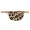 Beagles Fluffy Teddy Heuptas Navarra Leopard Beige