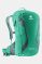 Deuter Race Exp Air Rugzak Tan/Donkergrijs