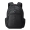 Delsey Element Backpacks Flier 2-Compartment Backpack 15,6'' black backpack