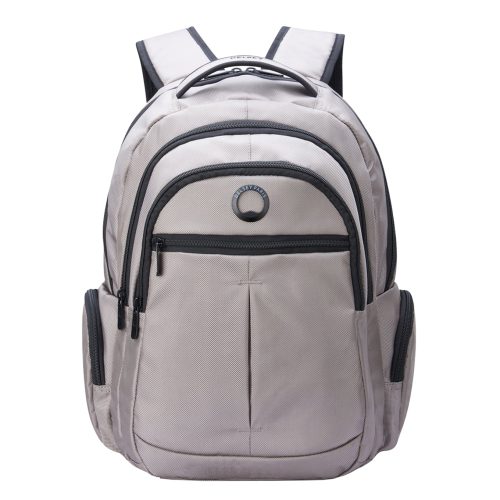 Delsey Element Backpacks Flier 2-Compartment Backpack 15,6'' grey backpack