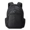 Delsey Element Backpacks Flier 2-Compartment Backpack 15,6&apos;&apos; black backpack