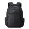 Delsey Element Backpacks Flier 2-Compartment Backpack 15,6'' black backpack
