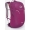 Lowe Alpine AirZone Active 18 Dagrugzak Paars