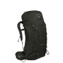 Osprey Kestrel 48 Backpack S/M picholine green backpack