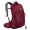 Osprey Talon 11 Backpack L/XL cosmic red backpack