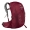 Osprey Talon 22 Backpack L/XL cosmic red backpack