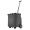 Reisenthel Shopping Carrycruiser frame signature black Trolley